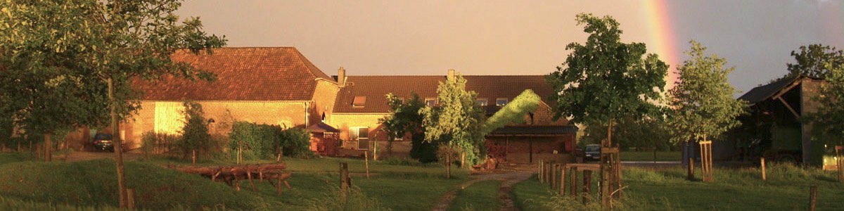 hhal_home_kopf_05_pict_39