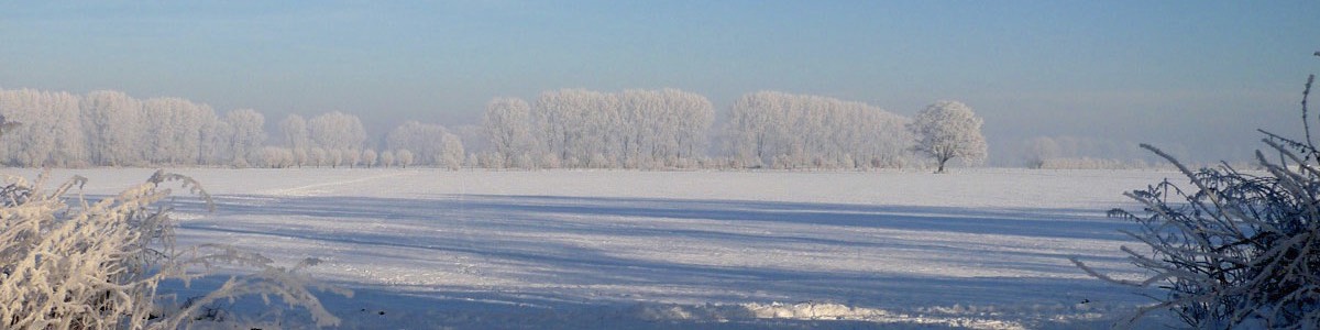 hhal_home_kopf_06_09010904