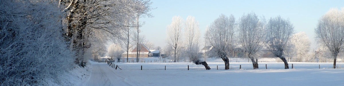 hhal_home_kopf_07_09010906